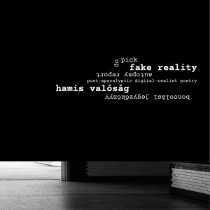 FAKE REALITY / visual poetry